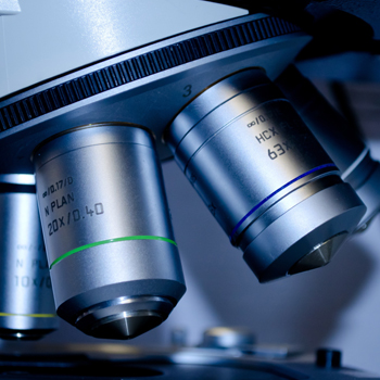 What Can You Do With A Bachelor S In Biology National University What Can You Do With A Bachelor S In Biology National University