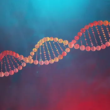 What is Epigenetics?