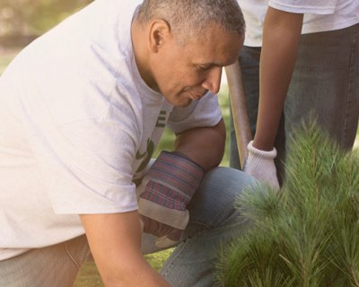 volunteers planting trees in a park