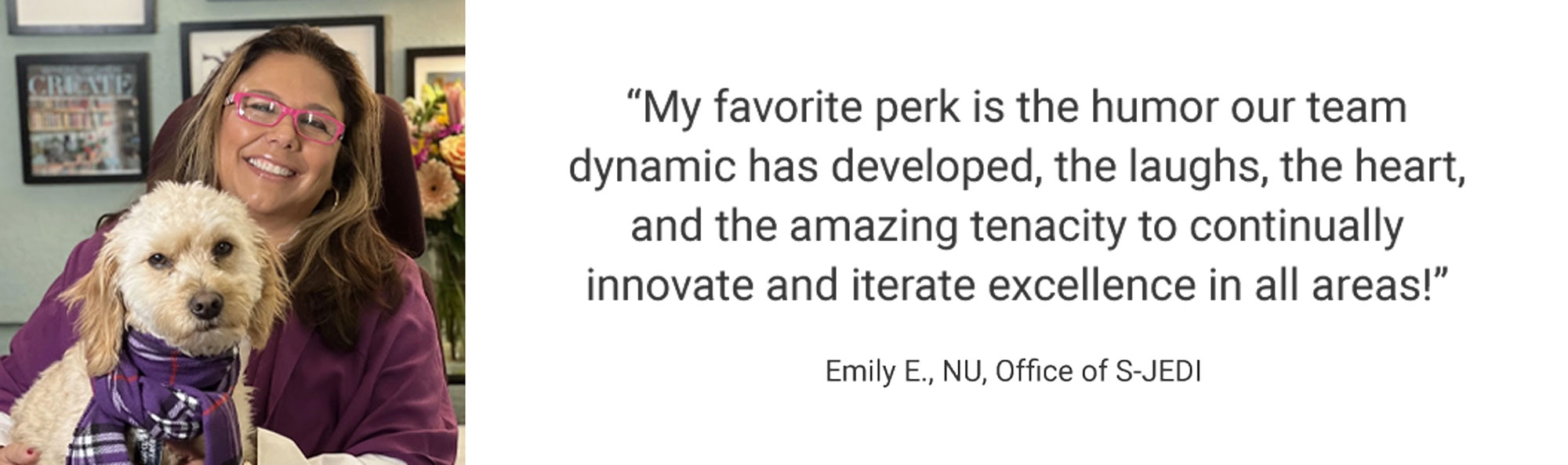 Employee Testimonial, "My favorite perk is the humor our team dynamic has developed, the laughs, the heart, and the amazing tenacity to continually innovate and iterate excellence in all areas!" by Emily E., NUS, Office of S-JEDI