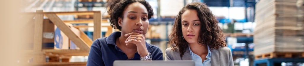 Women working at computer